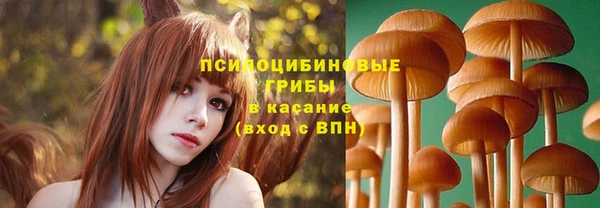 гидропоника Бугульма