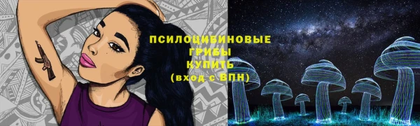 ешки Богданович