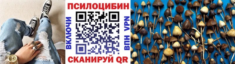 Псилоцибиновые грибы прущие грибы  Медногорск 